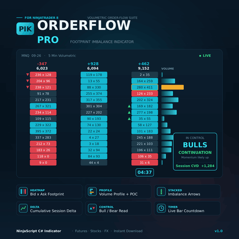 Image of PIK OrderFlow Pro — Order Flow Footprint Indicator for NinjaTrader 8 - LIFETIME ACCESS