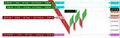 ORDER LABELS PRO - FOR NINJATRADER 8